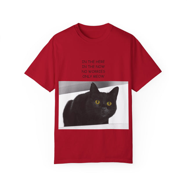 ‘Only Meow’ Cat Tee – Inspirational T-Shirt for Feline Fans