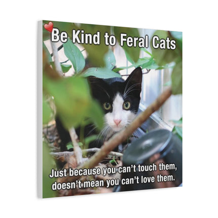 Be Kind to Feral Cats Matte Canvas Wall Art — Inspirational Animal Rescue Decor