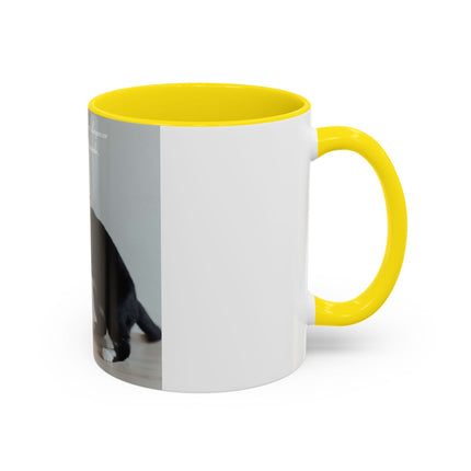 Cat Lovers Accent Mug – 11oz Ceramic Cup with Sleepover Quote