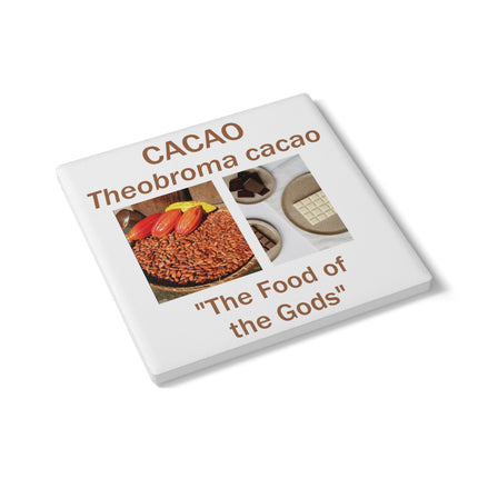 Cacao-Themed Ceramic Coaster Set – Botanical Tribute