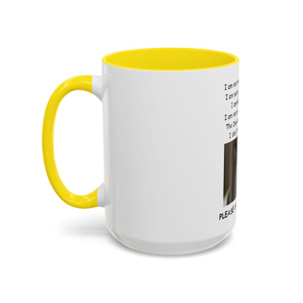 Black Cat 'Please Don't Hurt Me' Accent Coffee Mug – Dispelling Superstitions Gift