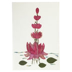 Flower Lotus