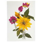 Flower w/ Bee