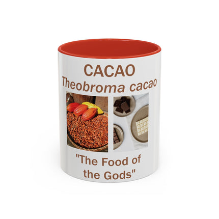 Cacao Accent Mug – "Food of the Gods", 11oz Ceramic