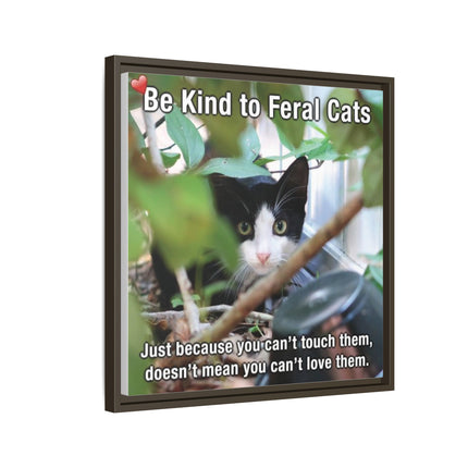 Be Kind to Feral Cats Framed Canvas Print