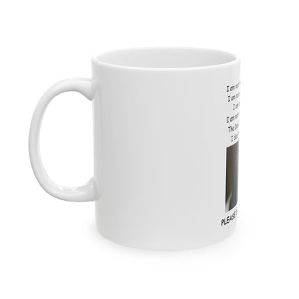 Black Cat Plea Ceramic Mug — "Please Don't Hurt Me" Coffee Cup (11oz/15oz)