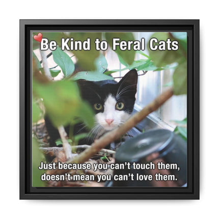 Be Kind to Feral Cats Framed Canvas Print