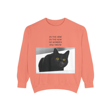 Cozy Cat Lover Sweatshirt - "In the Here, In the Now, No Worries, Only Meow"