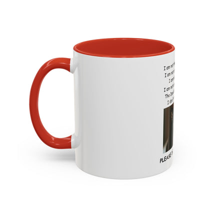 Black Cat 'Please Don't Hurt Me' Accent Coffee Mug – Dispelling Superstitions Gift