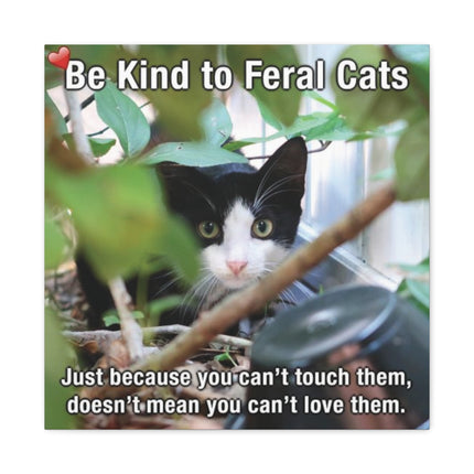 Be Kind to Feral Cats Matte Canvas Wall Art — Inspirational Animal Rescue Decor