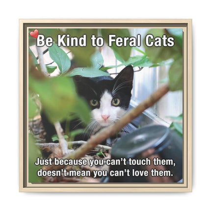 Be Kind to Feral Cats Framed Canvas Print