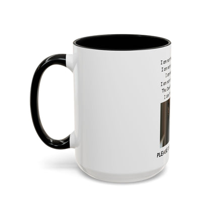 Black Cat 'Please Don't Hurt Me' Accent Coffee Mug – Dispelling Superstitions Gift