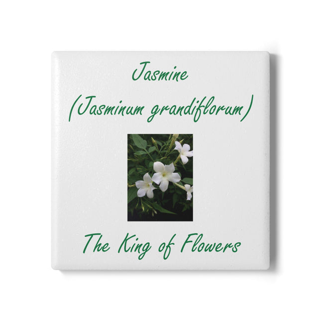 Jasmine Ceramic Coaster - The King of Flowers