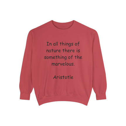 Aristotle Quote Sweatshirt – Unisex Garment-Dyed on Nature & Wonder