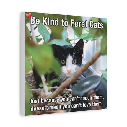 Be Kind to Feral Cats Matte Canvas Wall Art — Inspirational Animal Rescue Decor