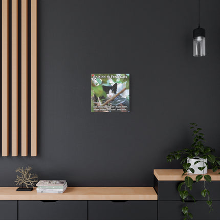 Be Kind to Feral Cats Matte Canvas Wall Art — Inspirational Animal Rescue Decor