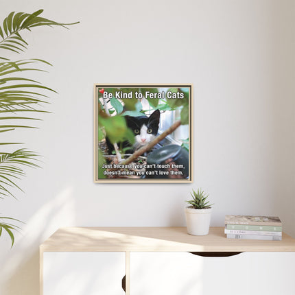 Be Kind to Feral Cats Framed Canvas Print