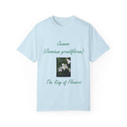 Chambray / S