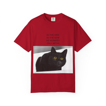 Inspirational Cat T-Shirt for Cat Lovers - 'Only Meow'