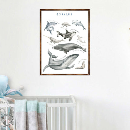 Ocean Animals Wooden Kids Room Décor - First day of school gift - Homeschool I Montessori wooden Educational Poster - Classroom Décor - Playroom Art - 310216-3