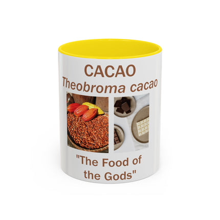 Cacao Accent Mug – "Food of the Gods", 11oz Ceramic