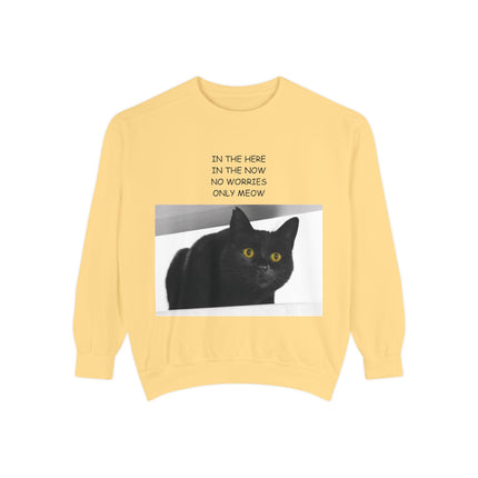 Cozy Cat Lover Sweatshirt - "In the Here, In the Now, No Worries, Only Meow"