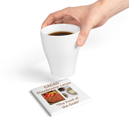 Cacao-Themed Ceramic Coaster Set – Botanical Tribute