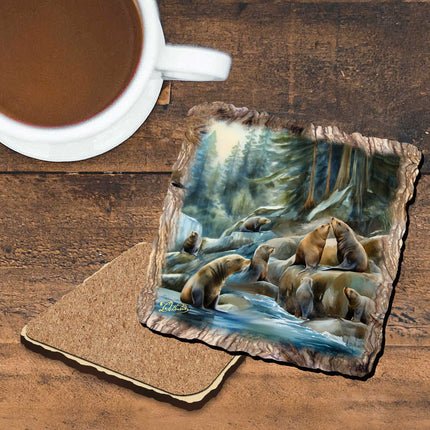 Charming Sea Lions Wooden Cork Coasters Gift Set of 4 by Nature Wonders Nature Wildlife Decor  - 95387C-S4-1
