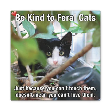Be Kind to Feral Cats Matte Canvas Wall Art — Inspirational Animal Rescue Decor