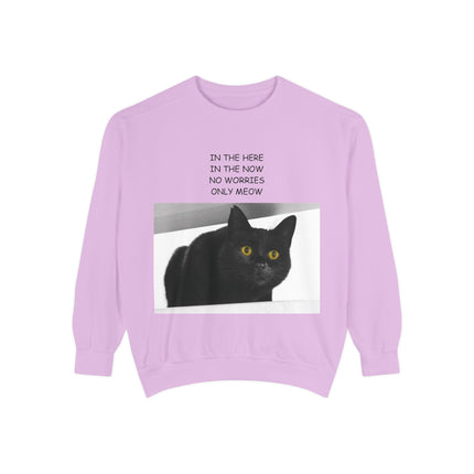 Cozy Cat Lover Sweatshirt - "In the Here, In the Now, No Worries, Only Meow"