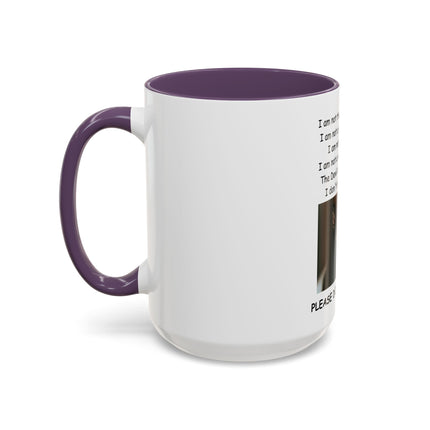 Black Cat 'Please Don't Hurt Me' Accent Coffee Mug – Dispelling Superstitions Gift