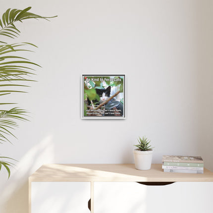 Be Kind to Feral Cats Framed Canvas Print