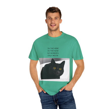 ‘Only Meow’ Cat Tee – Inspirational T-Shirt for Feline Fans