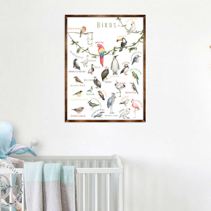 Nature Birds Wooden Wall Decor - Kids room decor - First day of school gift - ABC 123 Kids - Homeschool I Educational Poster - Art for kids - Alphabet - Classroom Decor - 310214-4