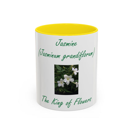 Jasmine Flower Accent Mug – King of Flowers, 11oz