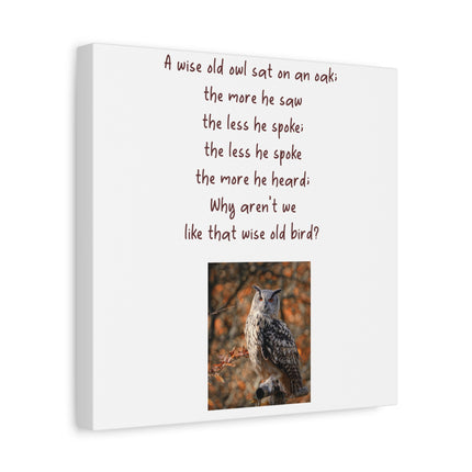 Wise Old Owl Matte Canvas Wall Art – Poem Print with Autumn Owl Photo