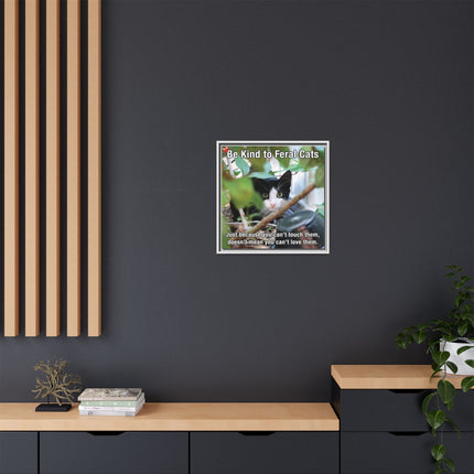 Be Kind to Feral Cats Framed Canvas Print