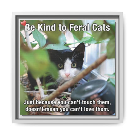 Be Kind to Feral Cats Framed Canvas Print