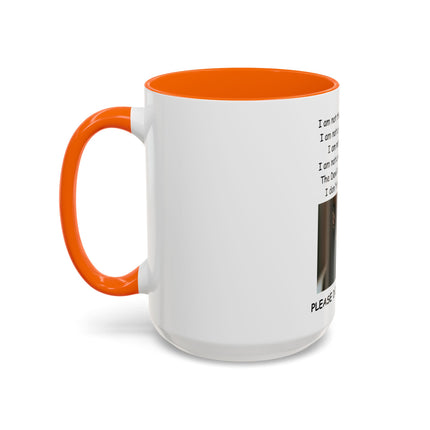 Black Cat 'Please Don't Hurt Me' Accent Coffee Mug – Dispelling Superstitions Gift