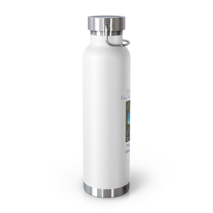 Cat Lover’s Insulated Bottle – 22oz Copper, Funny Gift