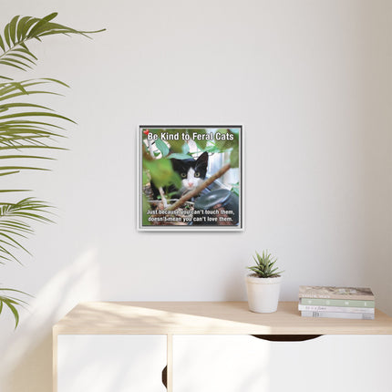 Be Kind to Feral Cats Framed Canvas Print