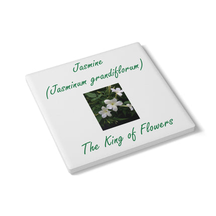 Jasmine Ceramic Coaster - The King of Flowers
