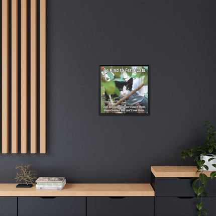 Be Kind to Feral Cats Framed Canvas Print