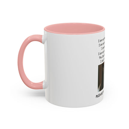 Black Cat 'Please Don't Hurt Me' Accent Coffee Mug – Dispelling Superstitions Gift