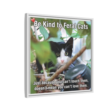 Be Kind to Feral Cats Framed Canvas Print