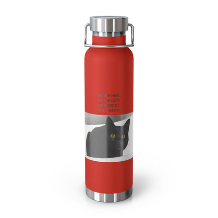 Mindful Meow 22oz Insulated Bottle — "In the Here, In the Now, No worries, Only Meow"