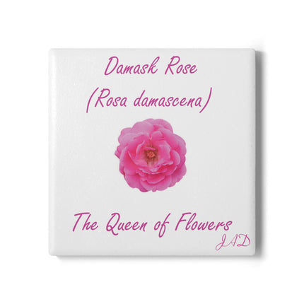 Elegant Damask Rose Ceramic Coaster - The Queen of Flowers Home Decor