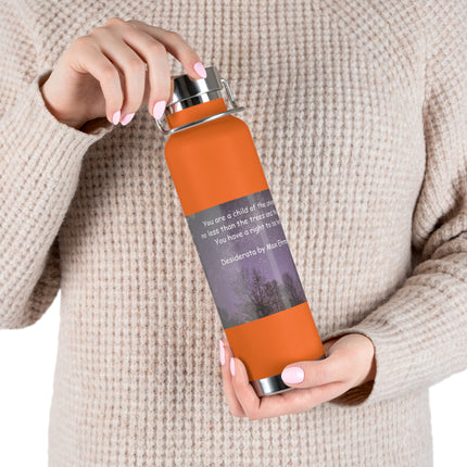 Inspirational Copper Insulated Water Bottle - 22oz with Motivational Quote