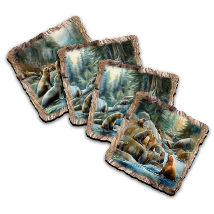 Charming Sea Lions Wooden Cork Coasters Gift Set of 4 by Nature Wonders Nature Wildlife Decor  - 95387C-S4-2