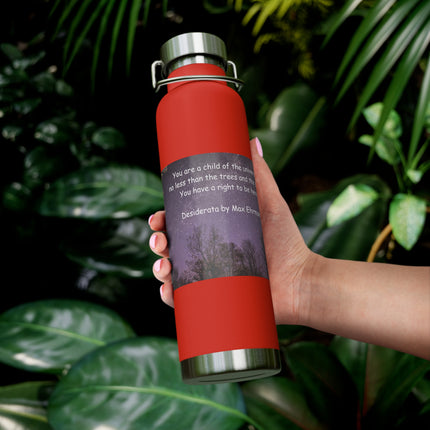 Inspirational Copper Insulated Water Bottle - 22oz with Motivational Quote